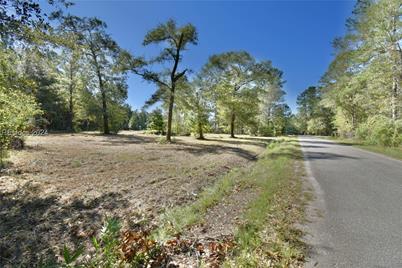 ? Spruce, Varnville, SC 29944 - Photo 1