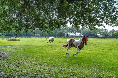 16 Indigo Lane, Hilton Head Island, SC 29928 - Photo 35