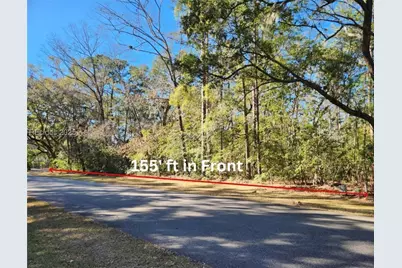 88 Tomotley Barony Drive, Seabrook, SC 29940 - Photo 11