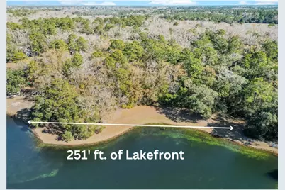 88 Tomotley Barony Drive, Seabrook, SC 29940 - Photo 3