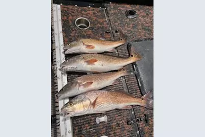 88 Tomotley Barony Drive, Seabrook, SC 29940 - Photo 21