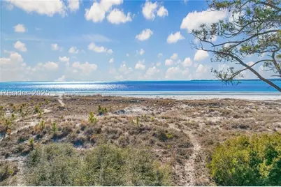 9 Brown Pelican Road, Hilton Head Island, SC 29928 - Photo 3