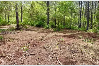 505 Sisters Ferry Road, Ridgeland, SC 29936 - Photo 1