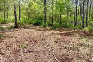 505 Sisters Ferry Rd, Ridgeland, SC 29936 - Photo 1