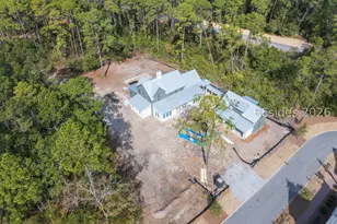 20 Mallow St, Bluffton, SC 29910 - Photo 21