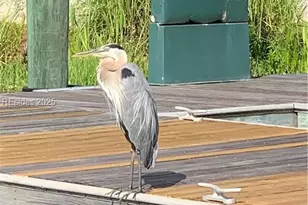 604 Flatwater Dr, Bluffton, SC 29910 - Photo 63