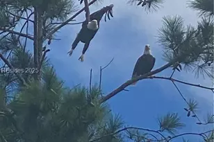 604 Flatwater Dr, Bluffton, SC 29910 - Photo 49