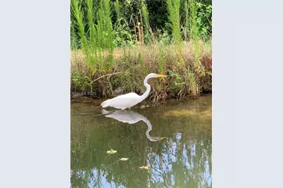 604 Flatwater Drive, Bluffton, SC 29910 - Photo 51