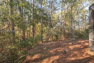 6 Litchfield Ct, Okatie, SC 29909 - Photo 35