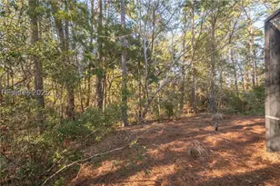 6 Litchfield Ct, Okatie, SC 29909 - Photo 35