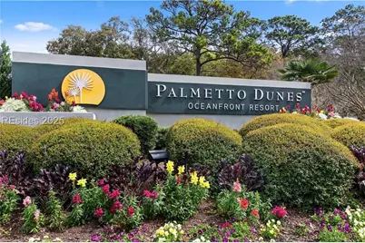 9 Armada Street, Hilton Head Island, SC 29928 - Photo 87