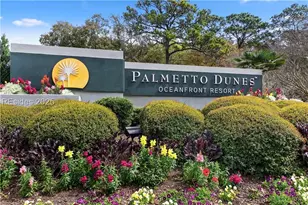 9 Armada St, Hilton Head Island, SC 29928 - Photo 87