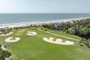 9 Armada St, Hilton Head Island, SC 29928 - Photo 83