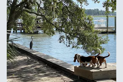 73 Brams Point Road, Hilton Head Island, SC 29926 - Photo 49