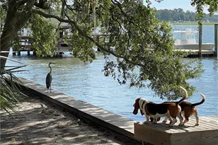 73 Brams Point Rd, Hilton Head Island, SC 29926 - Photo 49