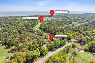2 Red Maple Rd, Hilton Head Island, SC 29928 - Photo 73