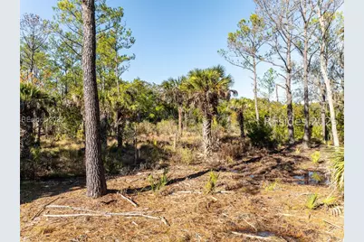 36 Ashton Drive, Saint Helena Island, SC 29920 - Photo 5