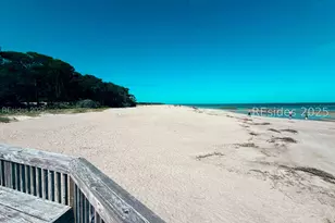 239 Beach City Rd, Hilton Head Island, SC 29926 - Photo 21