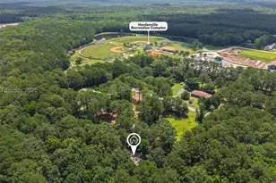 29 Epps Ave, Hardeeville, SC 29927 - Photo 43