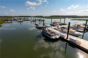 10 Wax Myrtle Ct, Hilton Head Island, SC 29926 - Photo 41