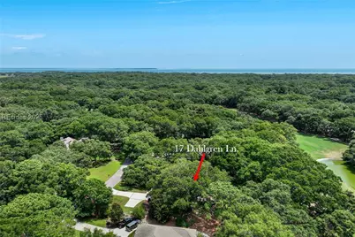 17 Dahlgren Lane, Hilton Head Island, SC 29928 - Photo 43