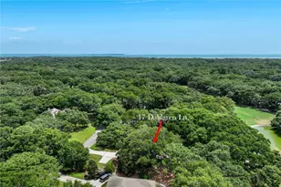 17 Dahlgren Ln, Hilton Head Island, SC 29928 - Photo 43