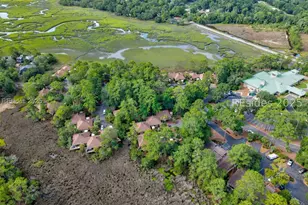 112 Devils Elbow Ln, Hilton Head Island, SC 29926 - Photo 67