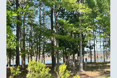 146 Cutter Circle, Bluffton, SC 29909 - Photo 3