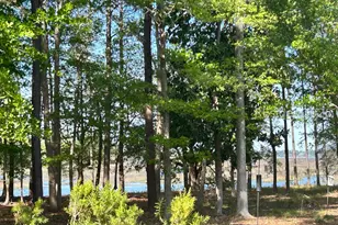 146 Cutter Cir, Bluffton, SC 29909 - Photo 3