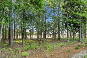 146 Cutter Cir, Bluffton, SC 29909 - Photo 35