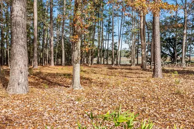 146 Cutter Circle, Bluffton, SC 29909 - Photo 9
