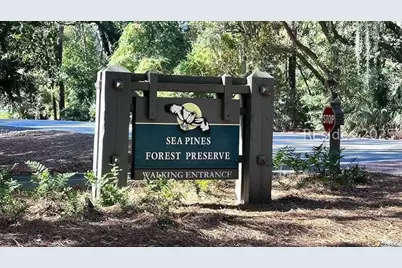 6 Lighthouse Lane #953, Hilton Head Island, SC 29928 - Photo 43