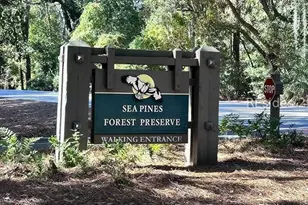 6 Lighthouse Ln, Hilton Head Island, SC 29928 - Photo 43