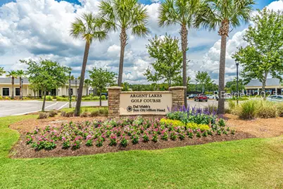 1431 Dreamscape Drive, Bluffton, SC 29909 - Photo 51