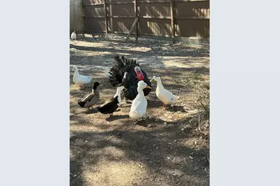 10 Big Ash Lane, Beaufort, SC 29907 - Photo 3