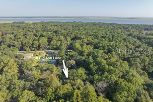 10 Big Ash Ln, Beaufort, SC 29907 - Photo 29
