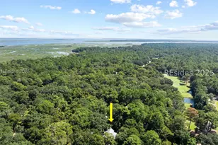 303 Spring Island Dr, Okatie, SC 29909 - Photo 97