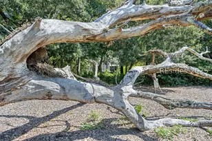 303 Spring Island Dr, Okatie, SC 29909 - Photo 91