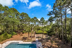 16 Juniper Ln, Hilton Head Island, SC 29928 - Photo 59