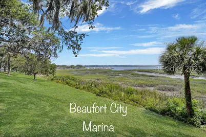 207 Goethe Hill Road, Beaufort, SC 29906 - Photo 35