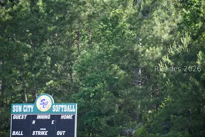 212 Benjamin Seabrook Court, Bluffton, SC 29909 - Photo 41