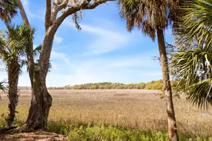 31 Seagrass Landing Ct, Hilton Head Island, SC 29926 - Photo 57