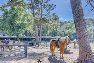 18 Lighthouse Ln, Hilton Head Island, SC 29928 - Photo 43