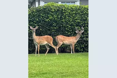 28 Golden Eagle Drive, Okatie, SC 29909 - Photo 35