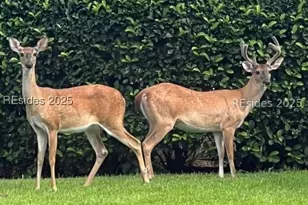 28 Golden Eagle Dr, Okatie, SC 29909 - Photo 35