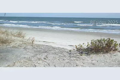 21 Haul Away #15, Hilton Head Island, SC 29928 - Photo 31