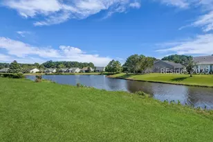 47 Redtail Dr, Bluffton, SC 29909 - Photo 41