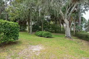 18 Chechessee Cir, Okatie, SC 29909 - Photo 47