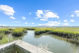 14 Peregrine Dr, Hilton Head Island, SC 29926 - Photo 47