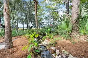 6 Pole Creek Ln, Okatie, SC 29909 - Photo 85